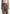 high-waisted-tailored-trousers-dark-taupe