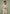 relaxed-fit-textured-belted-tailored-trousers-beige