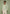 suede-jacket-with-revere-collar-sage