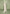 suede-jacket-with-revere-collar-sage