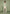 suede-jacket-with-revere-collar-sage