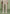 relaxed-fit-textured-belted-tailored-trousers-beige