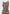 Daphne - Rib Knit Contrast Midaxi Dress - Brown/Cream