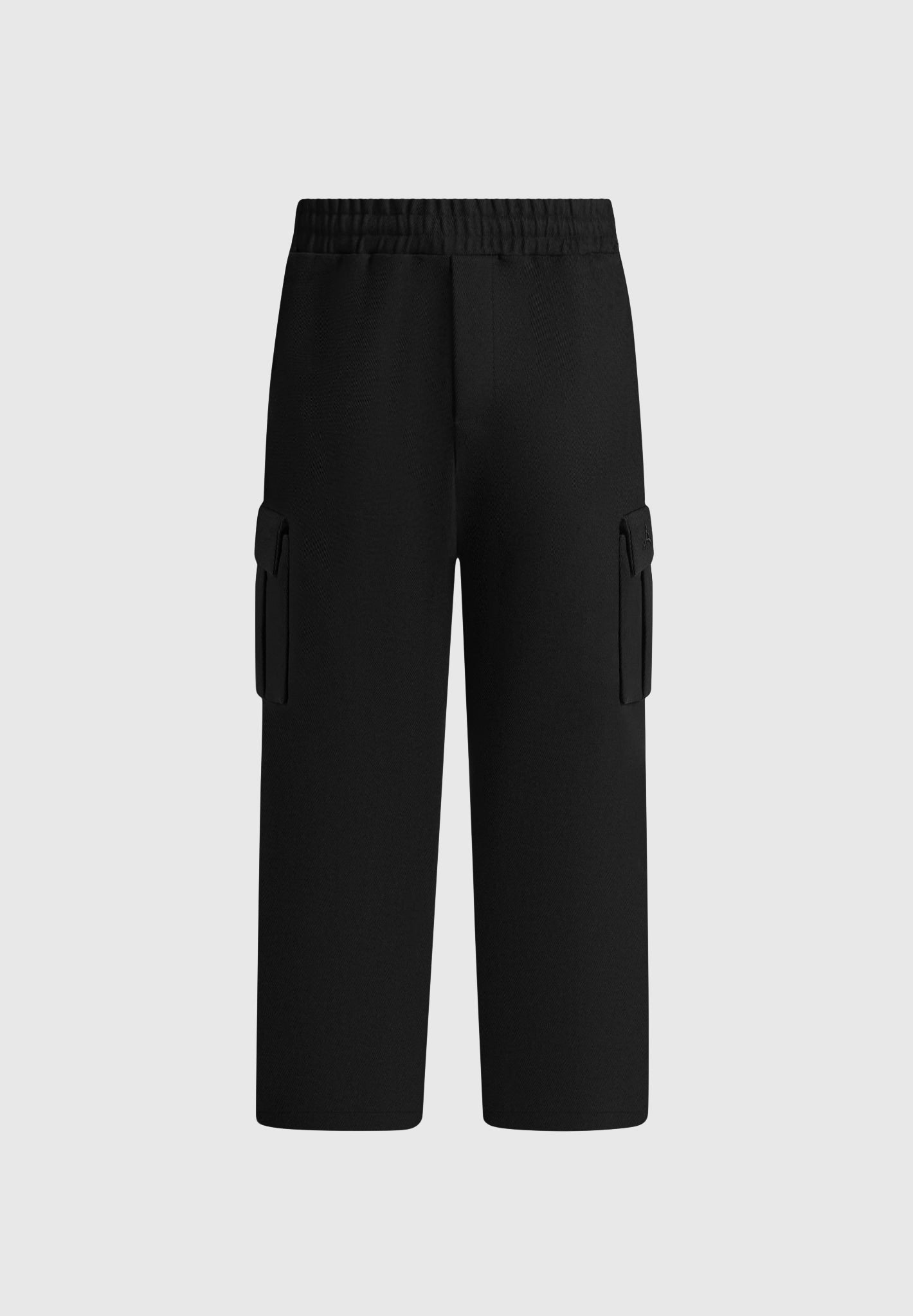 Twill Cargo Regular Fit Pants - Black