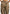 satin-high-waisted-cargo-pants-dark-olive