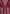 sheer-shirt-with-clasp-wine-red