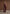 tailored-cinch-waistcoat-wine-red