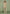 jacquard-boyfriend-jeans-green-floral