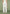 tailored-belted-strap-detail-trousers-cream