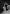 Jessica - Contour Lace Halter Drape Neck Maxi Dress - Black