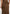 Fiona - Satin Fan Pleat Maxi Skirt - Brown