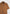 boxy-shirt-with-crease-fawn