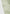 ripstop-parachute-cargo-pants-sage