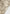 wide-leg-camo-cargo-pants-beige