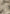 wide-leg-camo-cargo-pants-beige
